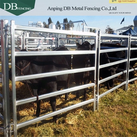 Galvanized cattle yard Panels oval tube 30x60