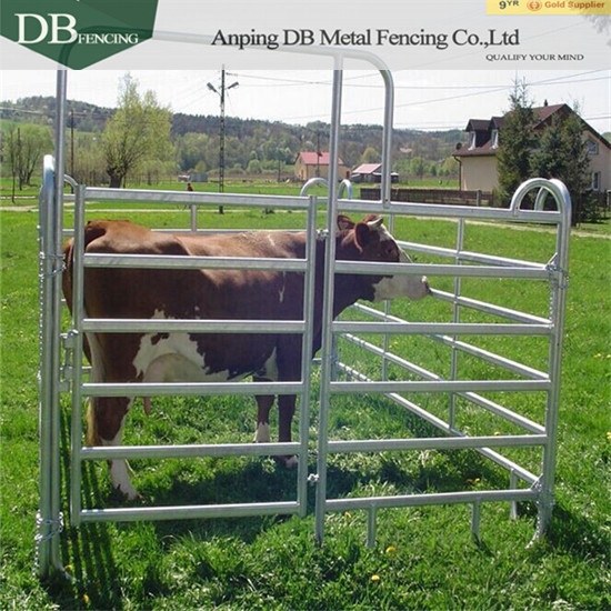 Cattle Panels & Gates Professional Factory