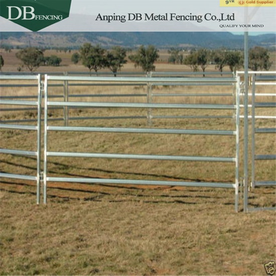 Galvanised Cattle Panels 2.1m x 1.8m