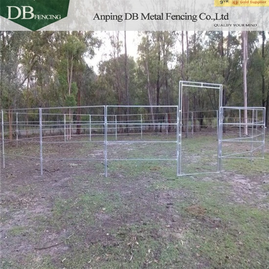 Cattle Panels & Gates for Sale in Australia