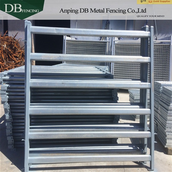 1.8x2.1m 6 Rail 40x40 Cattle Panel Cattle Panels