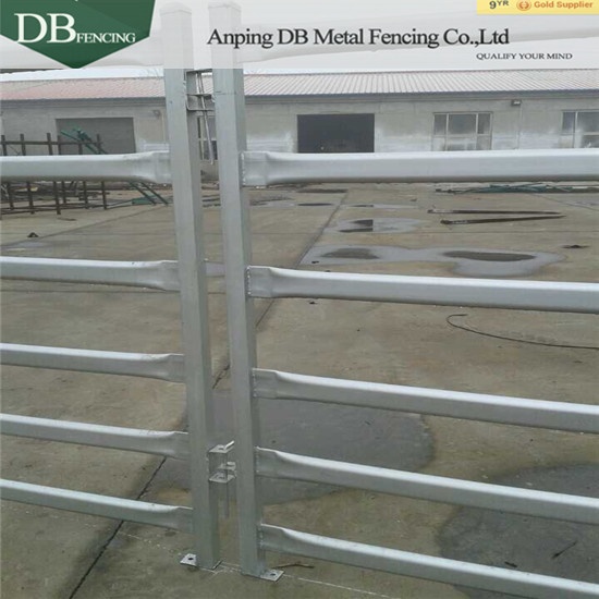 Experienced cattle panel Brisbane supplier