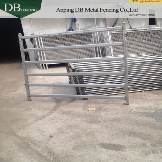 50mm x 50mm or 40mm x 40mm uprights 6 rails Cattle Panels