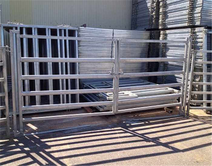 Portable Cattle Panels Double Gate 80mm x 42mm x 2.0mm Oval Rail