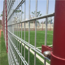 Double wire fence