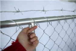 Temporary Chain Link Fence