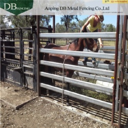 Cattle panels in Brisbane, Melbourne