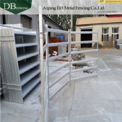 Cheap cattle panels for sale