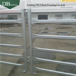 Experienced cattle panel Brisbane supplier