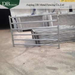 50mm x 50mm or 40mm x 40mm uprights 6 rails Cattle Panels