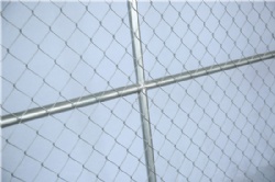 6ft x 14ft Temporary Chain Link Fence